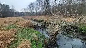 Rzeka Złota (Złota Struga)