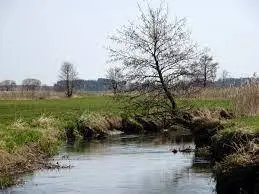 Rzeka Biebrza nr. 3  – (Wissa)