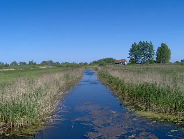 Rzeka Płutnica