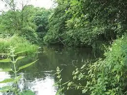 Rzeka Mała Słupina (Radunia nr 4)