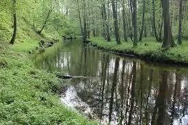Rzeka Niechwaszcz (Wda nr 10)