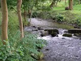 Rzeka Cedron