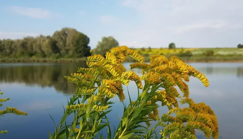 Zalew Zesławicki - zbiornik nr 2