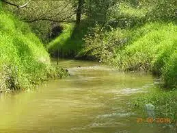 Rzeka Głogoczówka