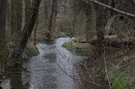 Rzeka Prądnik - łowisko 