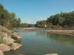 Rzeka Raba - łowisko "złów i wypuść"