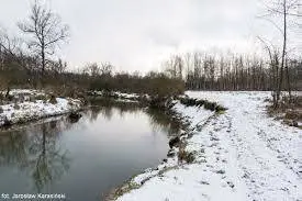Rzeka Skawinka