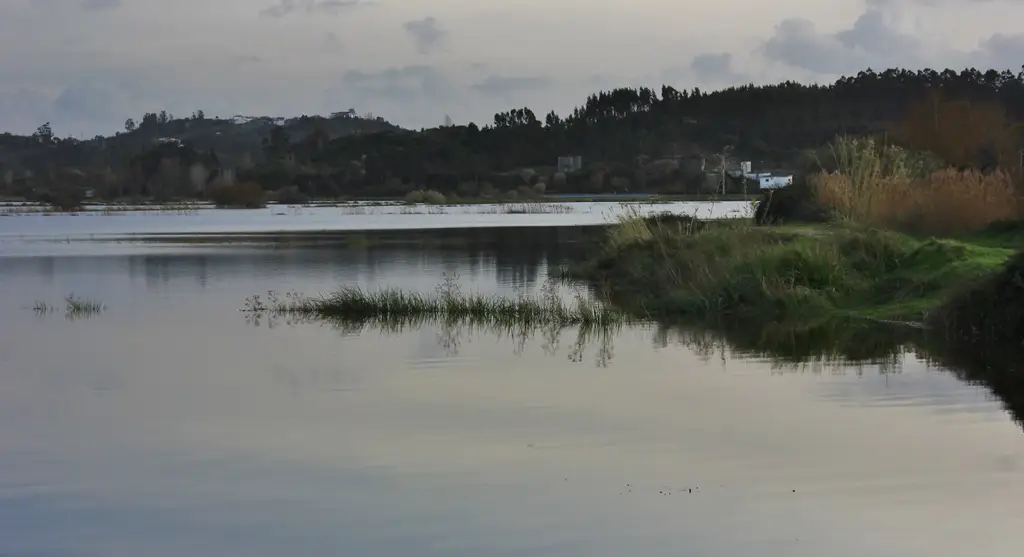 Rio Foja / Vala Real