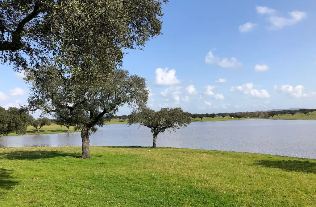 Albufeira do Monte Barrão