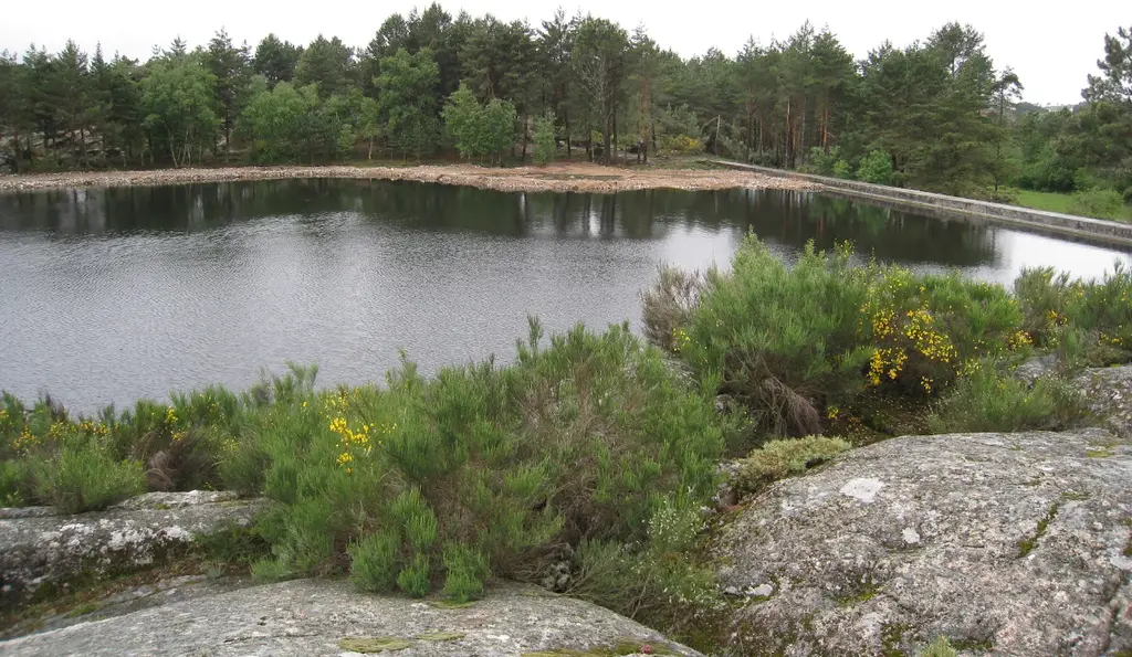 Rio Torno (ponte do Reguengo)