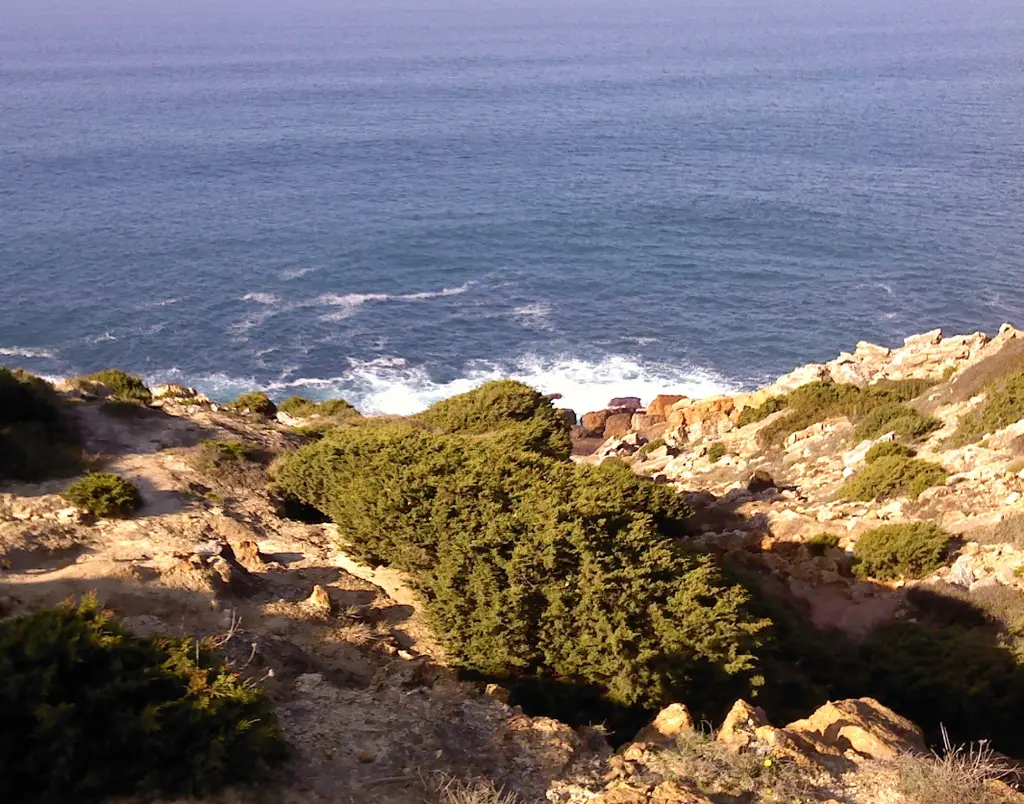 Parque Marinho Professor Luís Saldanha 1