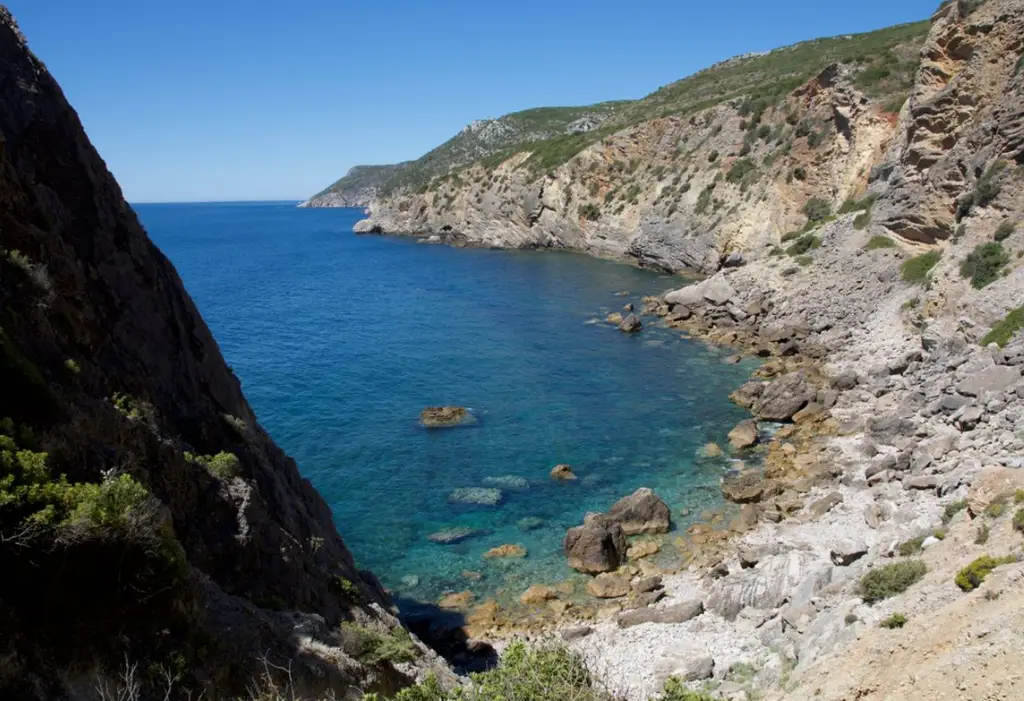 Parque Marinho Professor Luís Saldanha 3