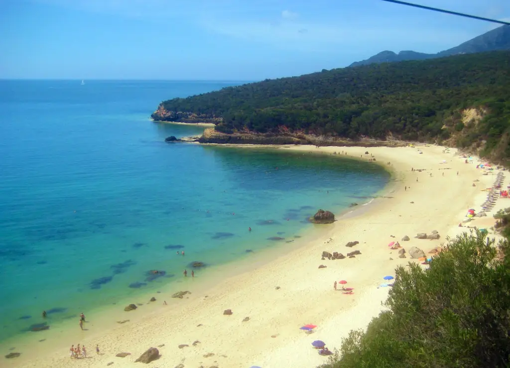 Parque Marinho Professor Luís Saldanha 8