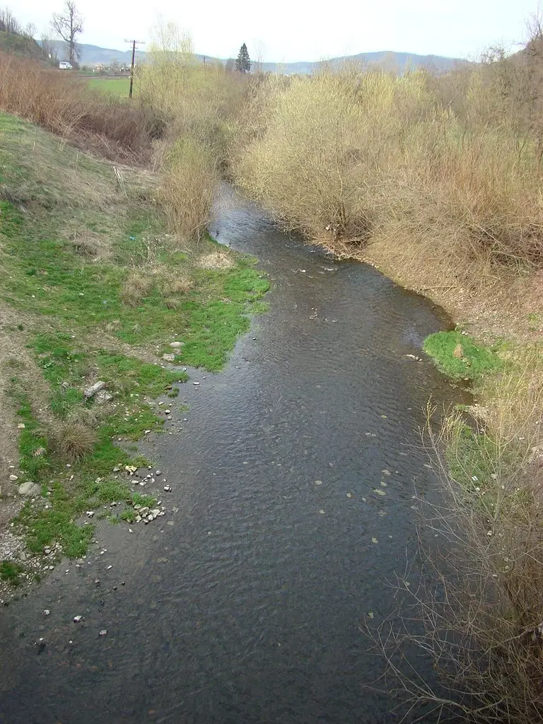 Pârâul Lechința
