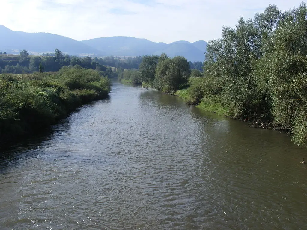 Râul Olt și afluenții săi
