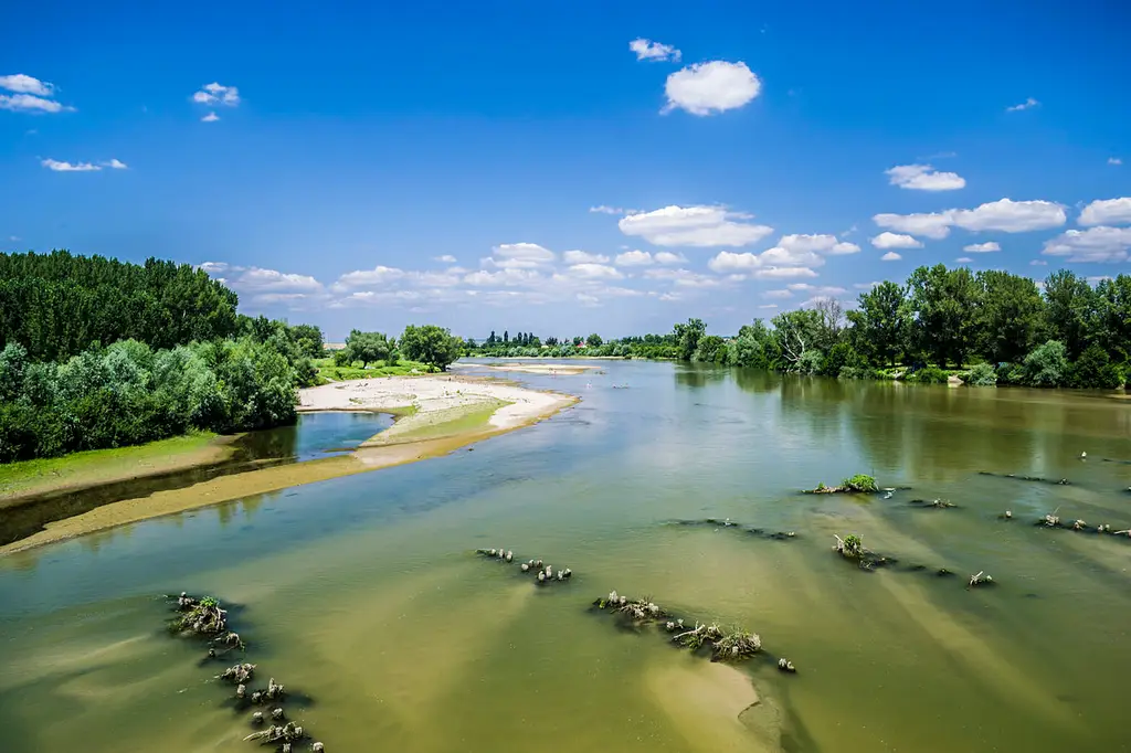 Râul Jiu și afluenții săi