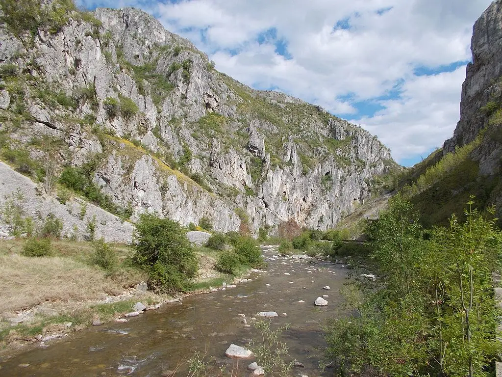 Râul Jaleș