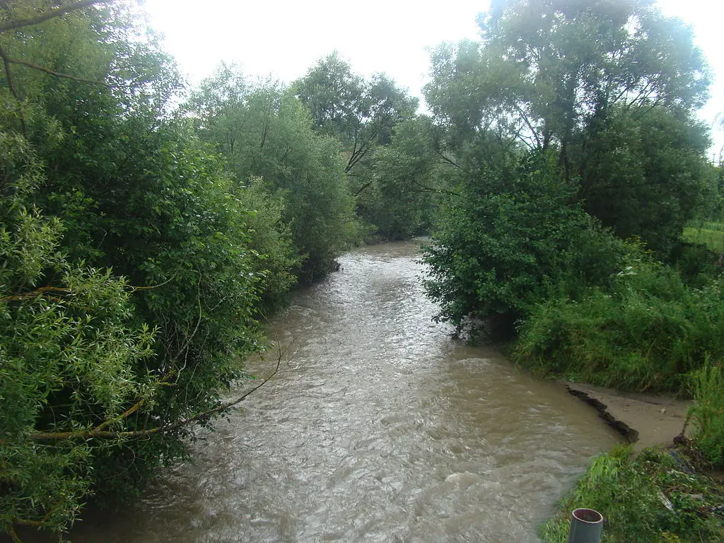Râul Cașin