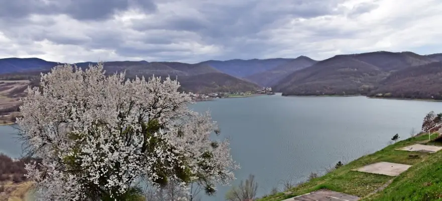 Lac Cinciș