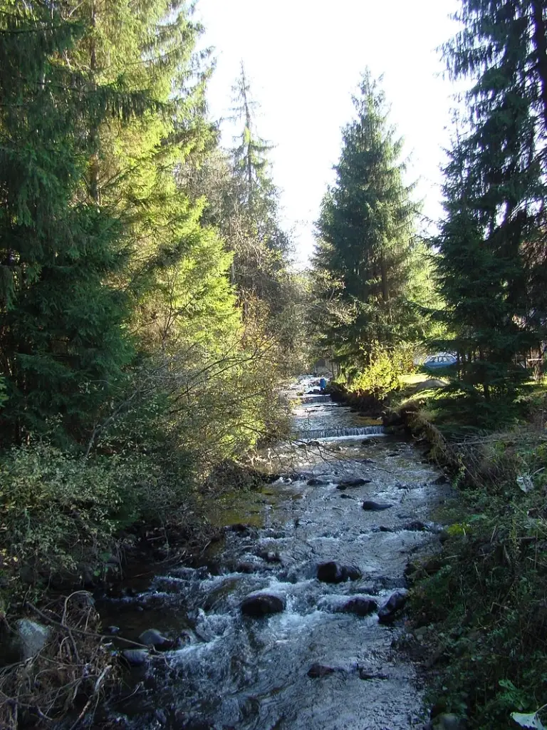 Râul Gurghiul inferior