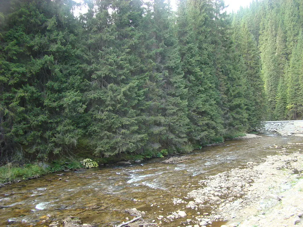 Râul Sebeș
