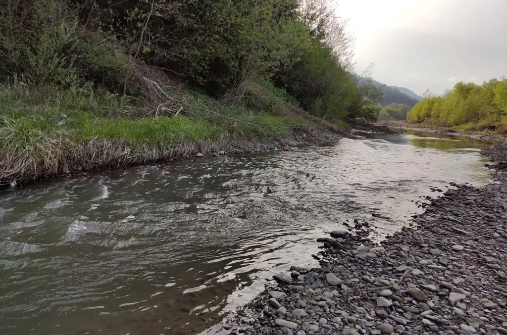 Râul Moldovița, inferioară