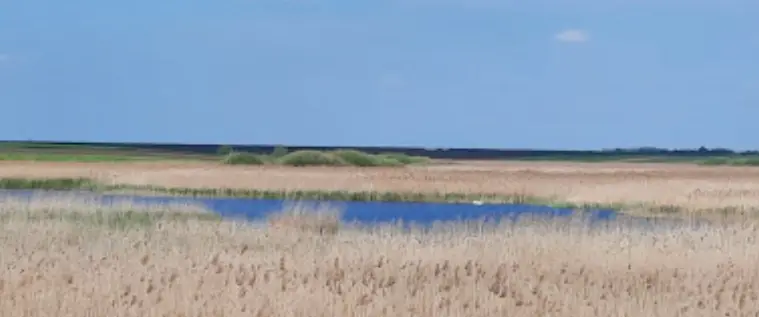 Acumularea Satchinez