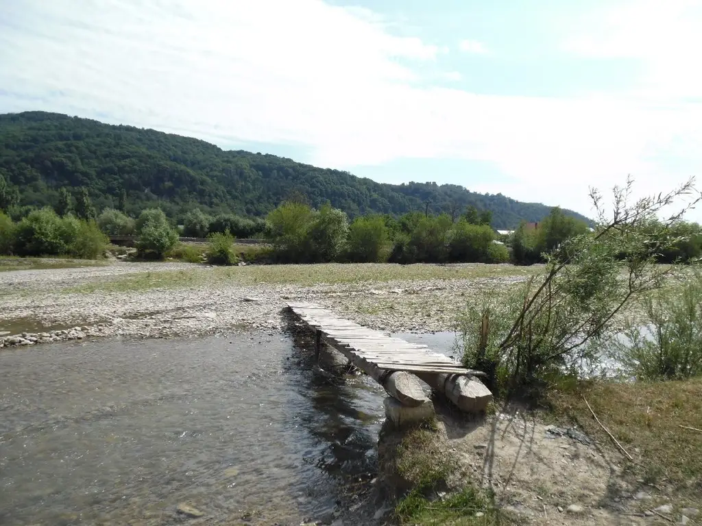 Râul Ozana Superioară, cu pârâul Domesnic și afluenții săi