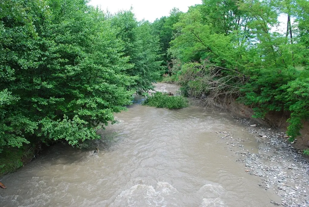 Râul Topolog, inferior