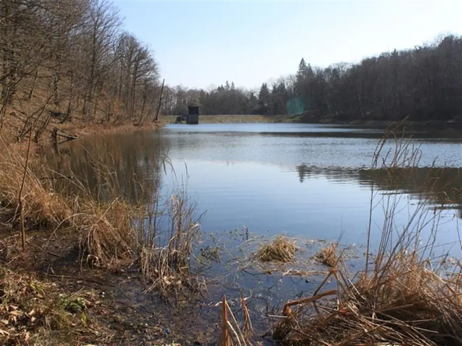 VN Modra - Harmónia