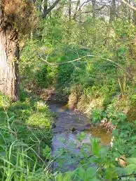 Podkylavka - Prašník