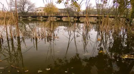 Mŕtve rameno Vizállás