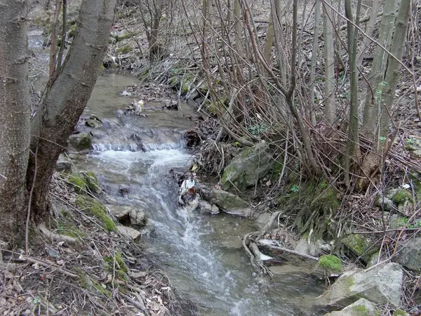 Prejtiansky potok č. 2