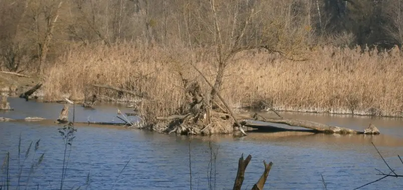 Dunaj č. 3 - OR Polder