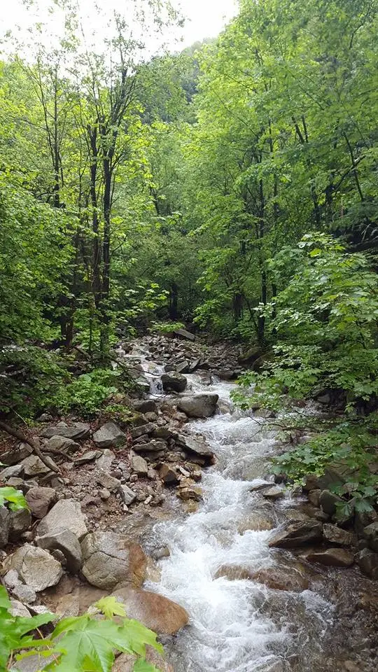 Šútovský potok č. 1