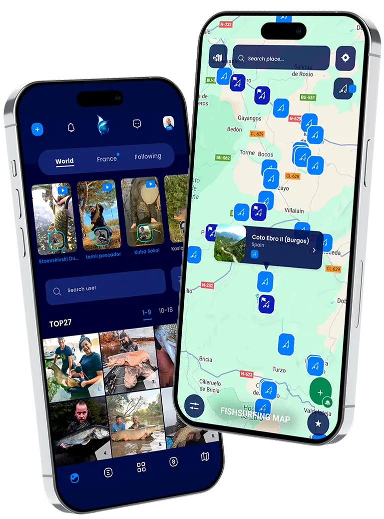 Gallery feed and Fishsurfing map