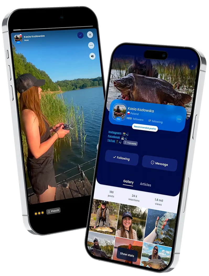 Gallery detail and user profile
