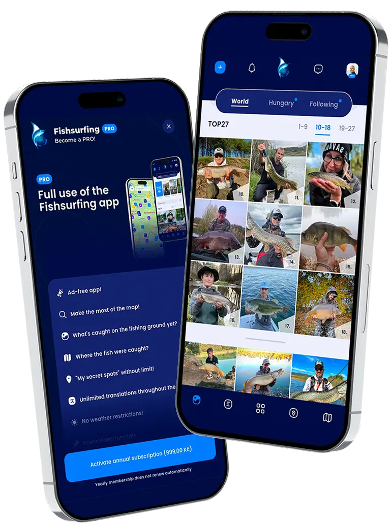 PRO membership and gallery