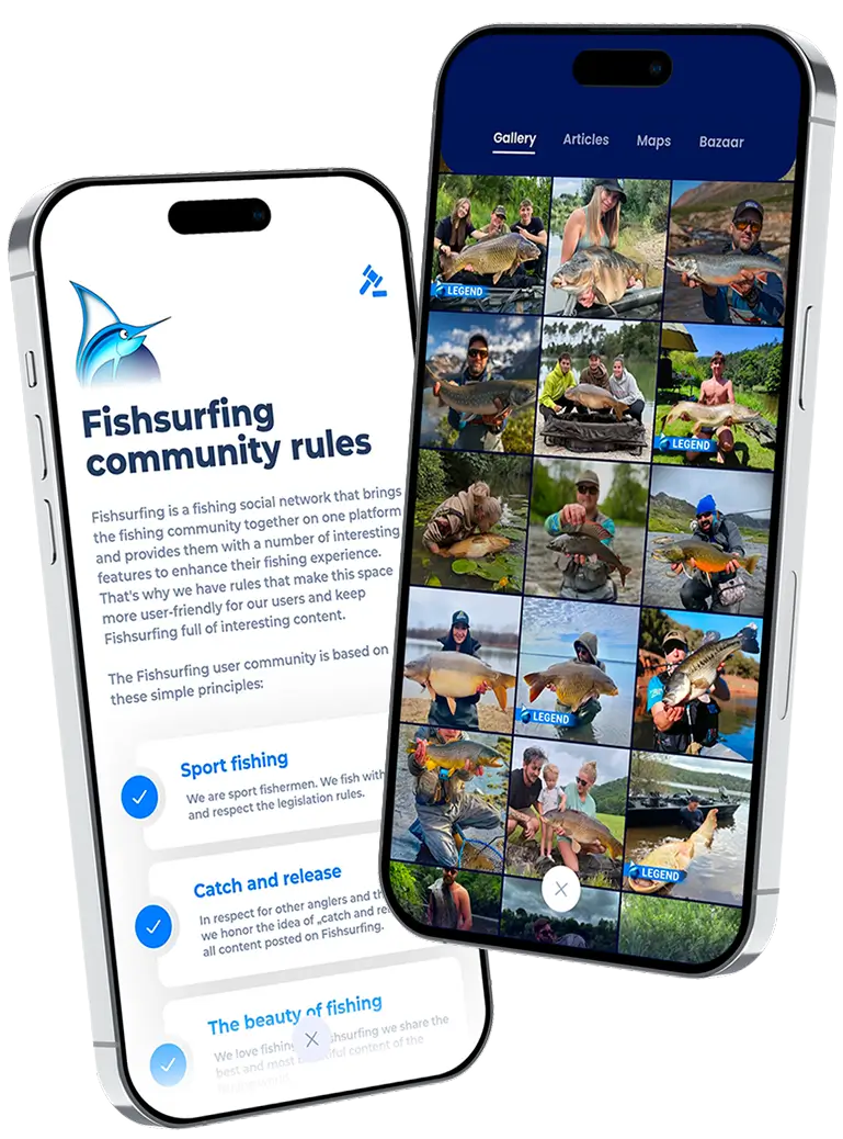 Community rules and user's favorite posts