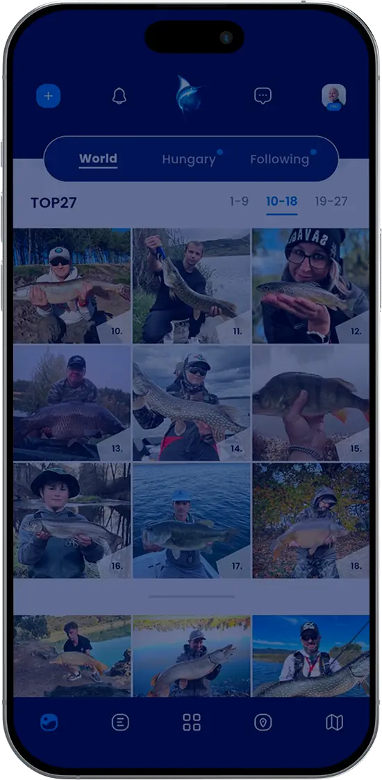 Fishsurfing app