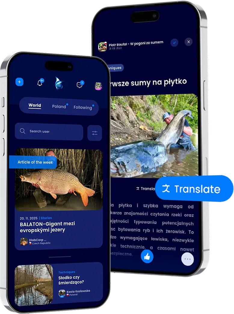 Fishsurfing blog in app