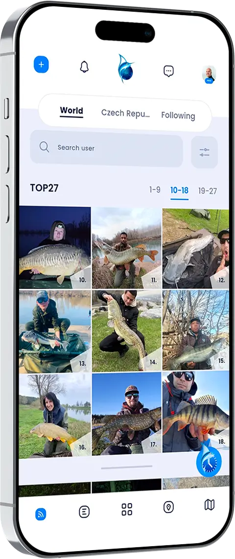 Fishsurfing gallery