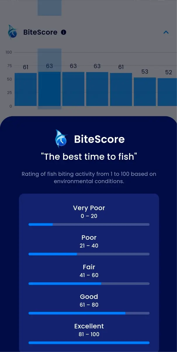 Fishsurfing app BiteScore