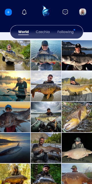 Gallery of the Fishsurfing app