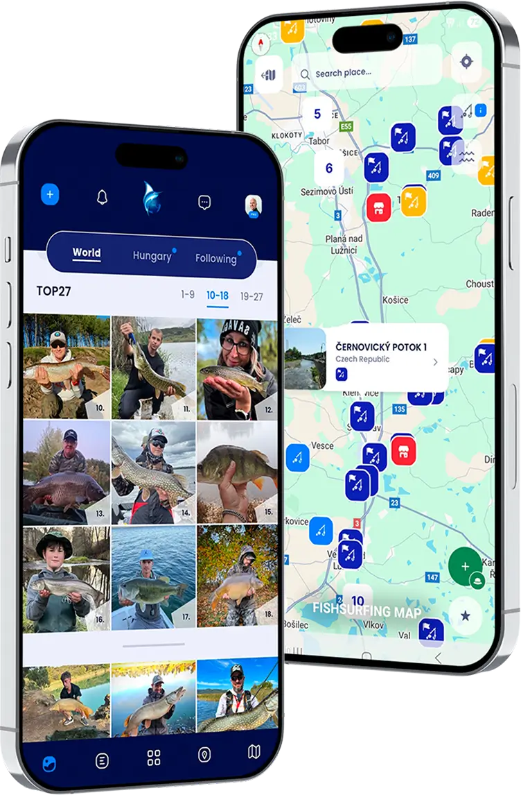Fishsurfing security