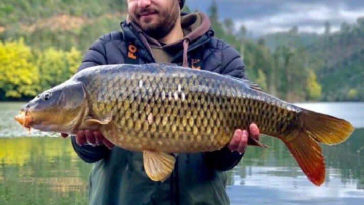 Portugal's carp fishing journey with Tiago