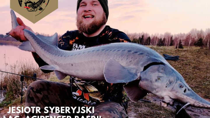 Upadły król podwodnego świata