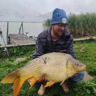 Márton Gábor Demeter