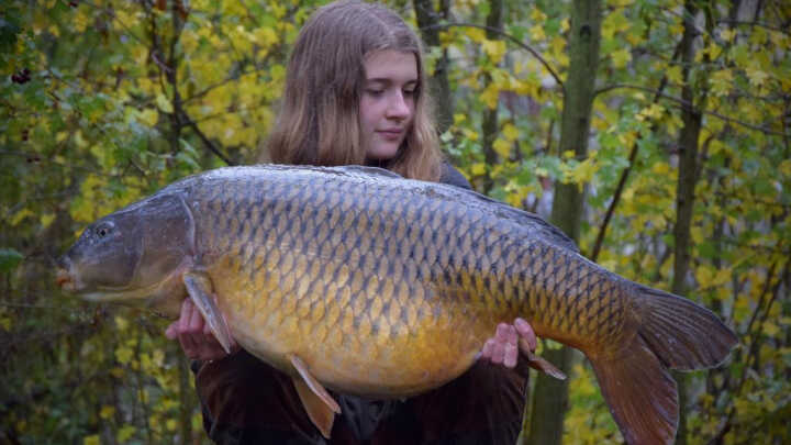 Jak na Ronnie Rig II.