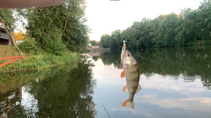 spinning na kanale żeglugowym cz1